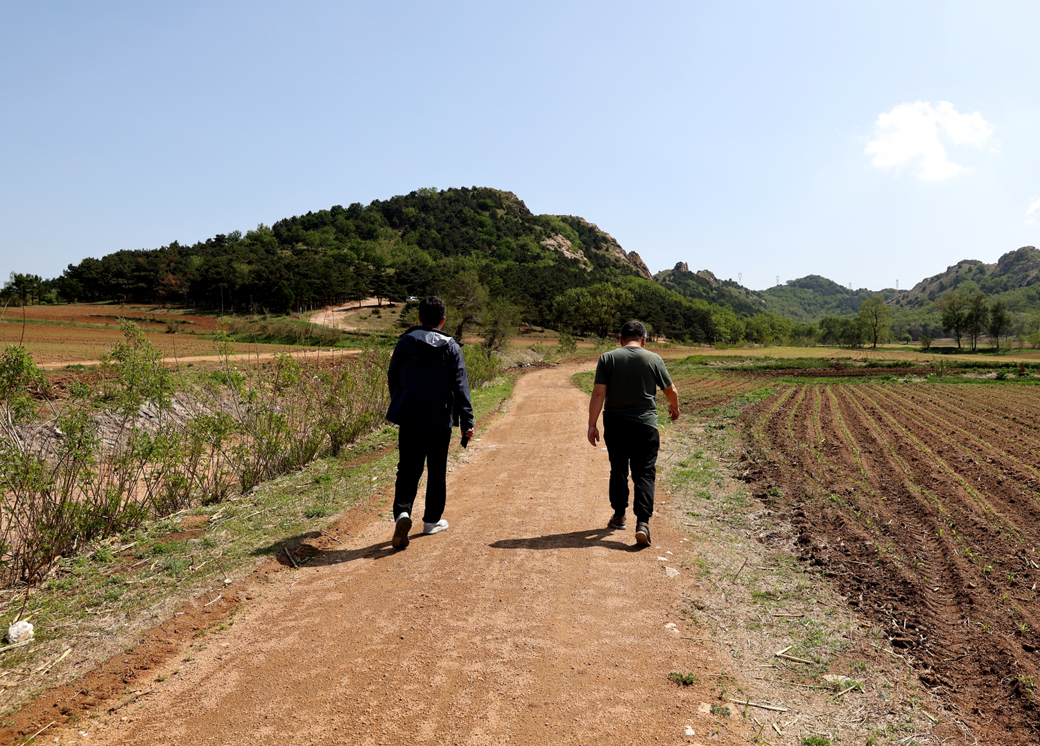 平顶山寻找登山路（网站）.jpg